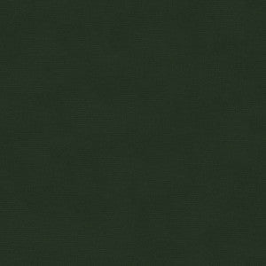 Kravet Fabric Versailles-E263810