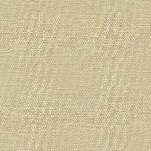 Kravet Fabric 34959-1116