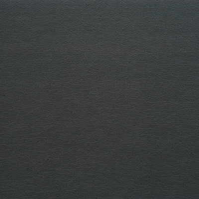 Kravet Fabric Gato-1121