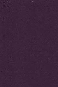 Kravet Fabric Desire-10