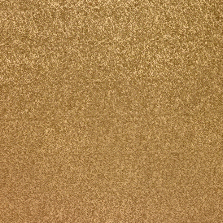 Kravet Fabric Sparta-404