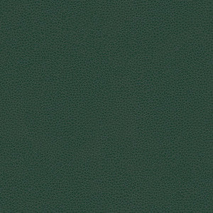 Kravet Fabric  Rigel-5