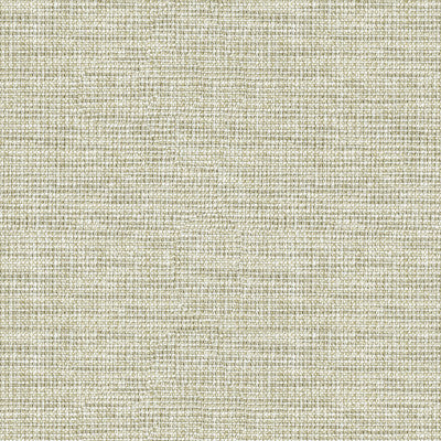 Kravet Fabric 34825-1611