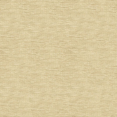 Kravet Fabric 33831-1116