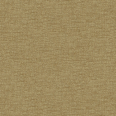 Kravet Fabric 34961-116