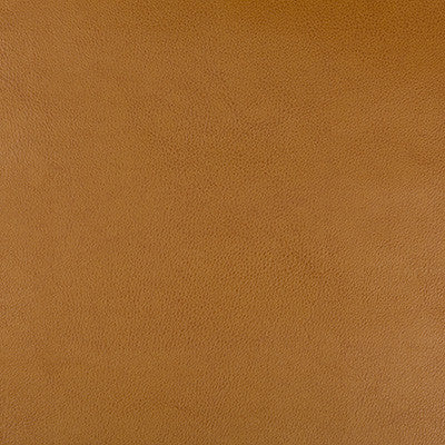 Kravet Fabric Dust-624
