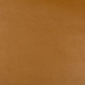 Kravet Fabric Dust-624