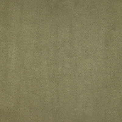 Kravet Fabric 25717-303