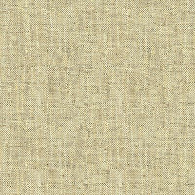 Kravet Fabric 34083-1611