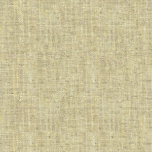 Kravet Fabric 34083-1611