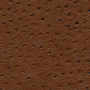 Kravet Fabric Senna-6