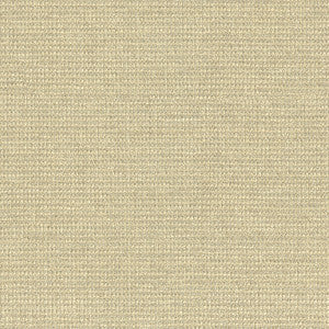 Kravet Fabric 33027-116