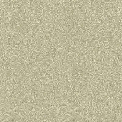 Kravet Fabric Pietra-1111