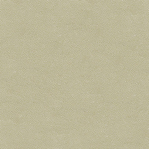 Kravet Fabric Pietra-1111
