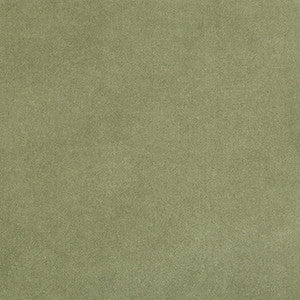 Kravet Fabric 35366-113