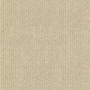 Kravet Fabric 25763-1116