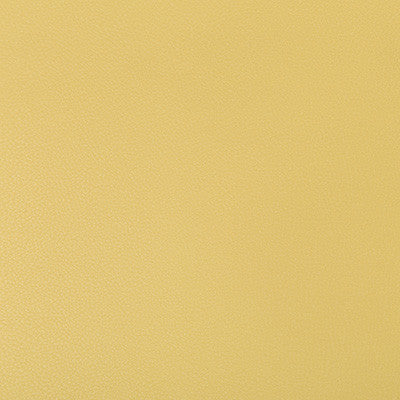 Kravet Fabric Syrus Butter