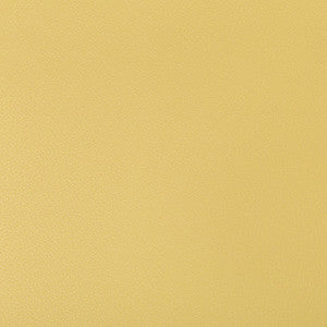 Kravet Fabric Syrus Butter