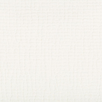 Kravet Fabric Cachuma Ivory