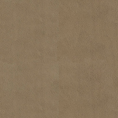 Kravet Fabric 34642-106