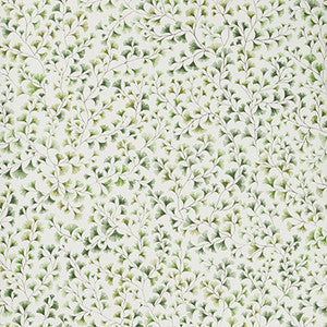 Cole & Son Wallpaper Maidenhair Olive
