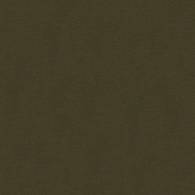 Kravet Fabric 34205-66