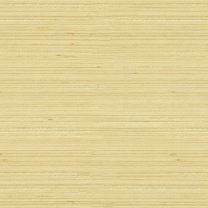 Kravet Fabric 3808-1116