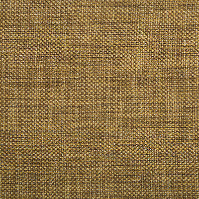Kravet Fabric 4458-616