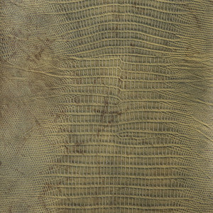 Kravet Fabric Namaqua-3