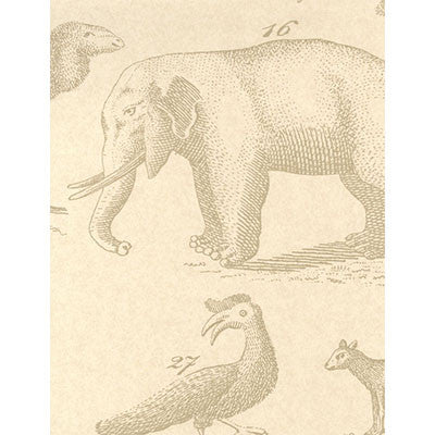 Kravet Wallpaper Ark Sand