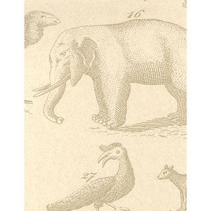 Kravet Wallpaper Ark Sand