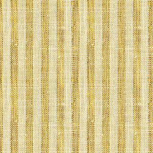 Kravet Fabric 34080-416