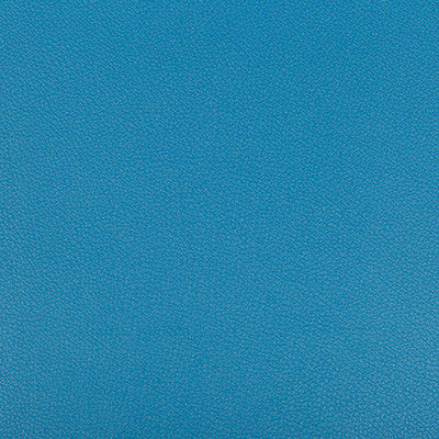Kravet Fabric Syrus Poolside