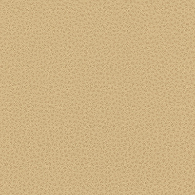 Kravet Fabric  Rigel-16
