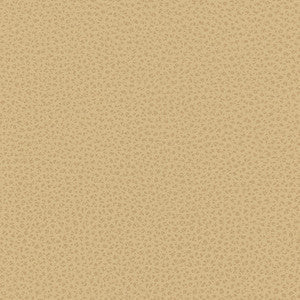 Kravet Fabric  Rigel-16