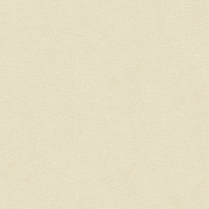 Kravet Fabric 34205-1111