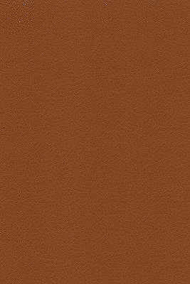 Kravet Fabric Desire-606