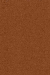 Kravet Fabric Desire-606