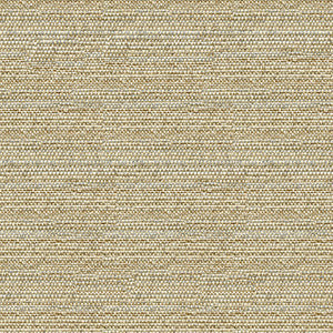Kravet Fabric 34274-1611