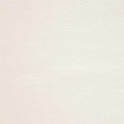 Kravet Fabric Ankora-101