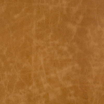 Kravet Fabric L-Cuero-Adobe