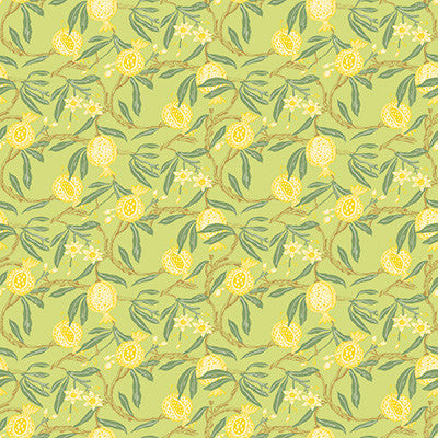 Gaston Y Daniela Wallpaper Granadas Amarillo