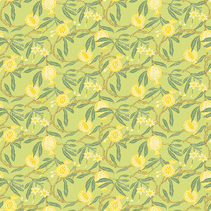 Gaston Y Daniela Wallpaper Granadas Amarillo