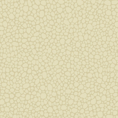 Cole & Son Wallpaper Pebble Cream