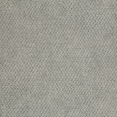 Kravet Wallpaper Cesto 4