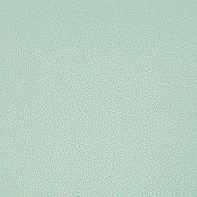Kravet Fabric Syrus Robins Egg