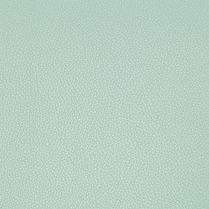 Kravet Fabric Syrus Robins Egg