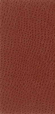 Kravet Fabric Nuostrich-24