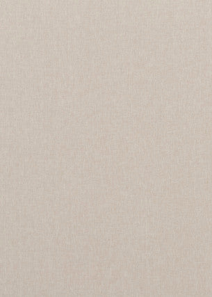 Baker Lifestyle Fabric Carnival Plain Pumice