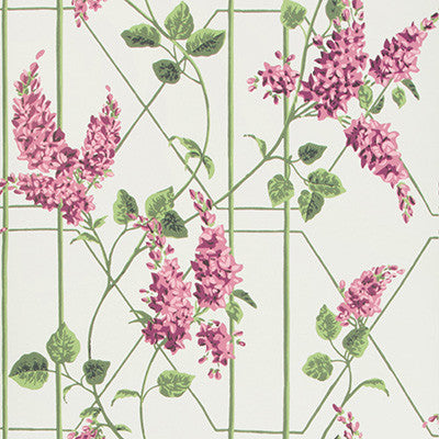 Cole & Son Wallpaper Wisteria Magenta/Green/Wh